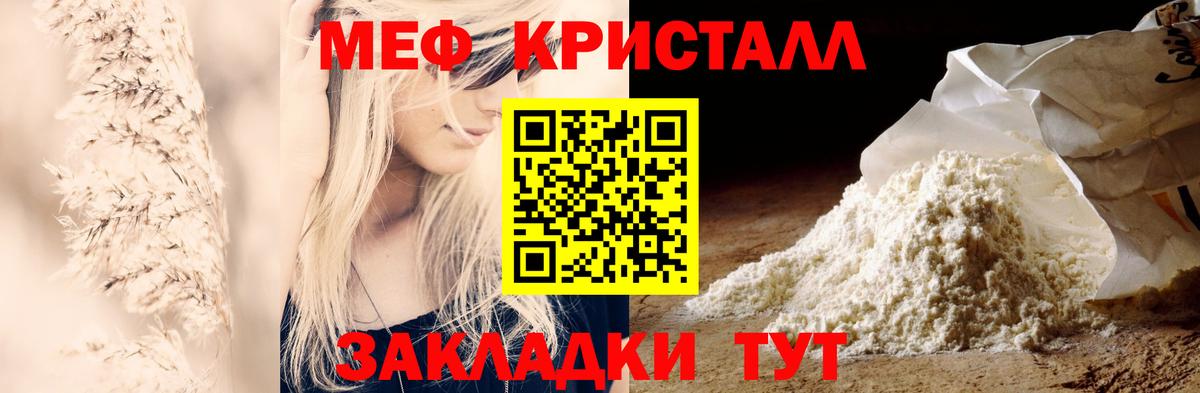 МЕФ  Новозыбков