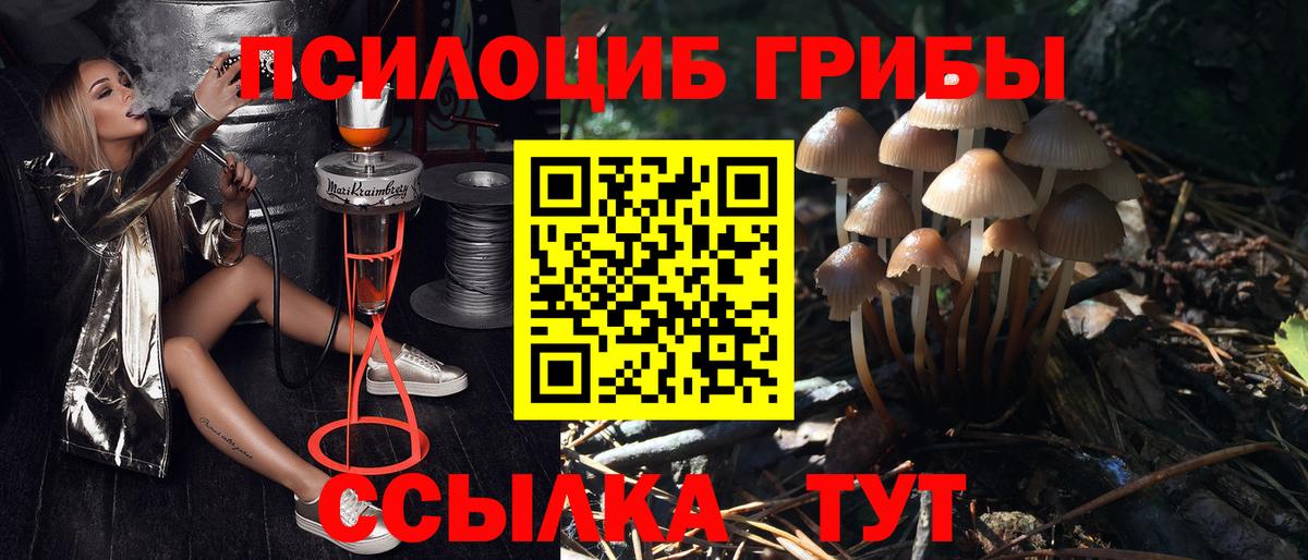 Галлюциногенные грибы прущие грибы  Вход с VPN  Новозыбков  Псилоцибиновые грибы прущие грибы 